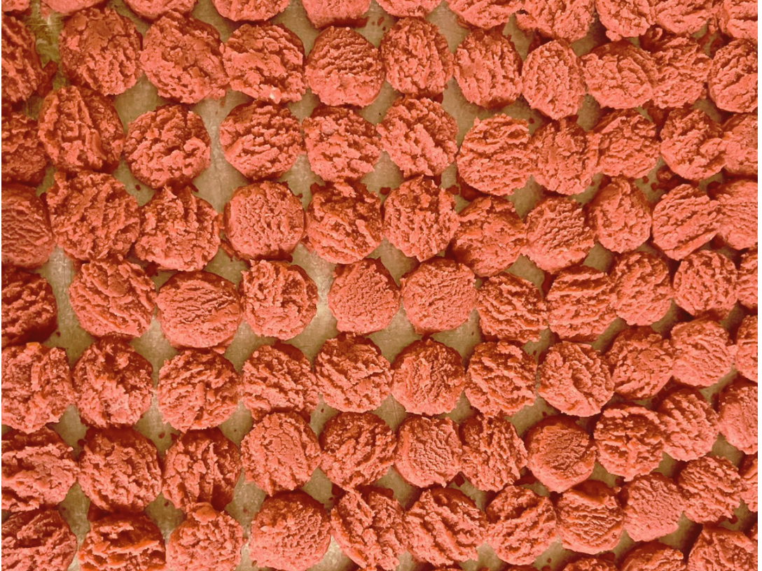 GALLETA SABOR PASTOR