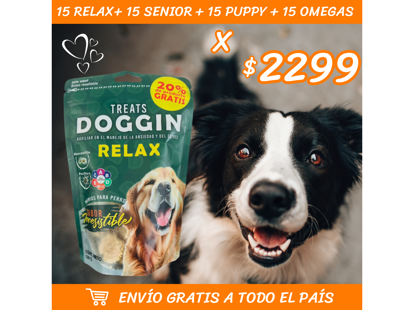 PQT TREATS  + ENVIO GRATIS