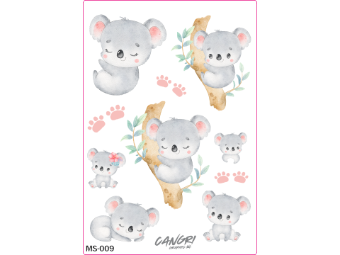 MS_009_KOALAS