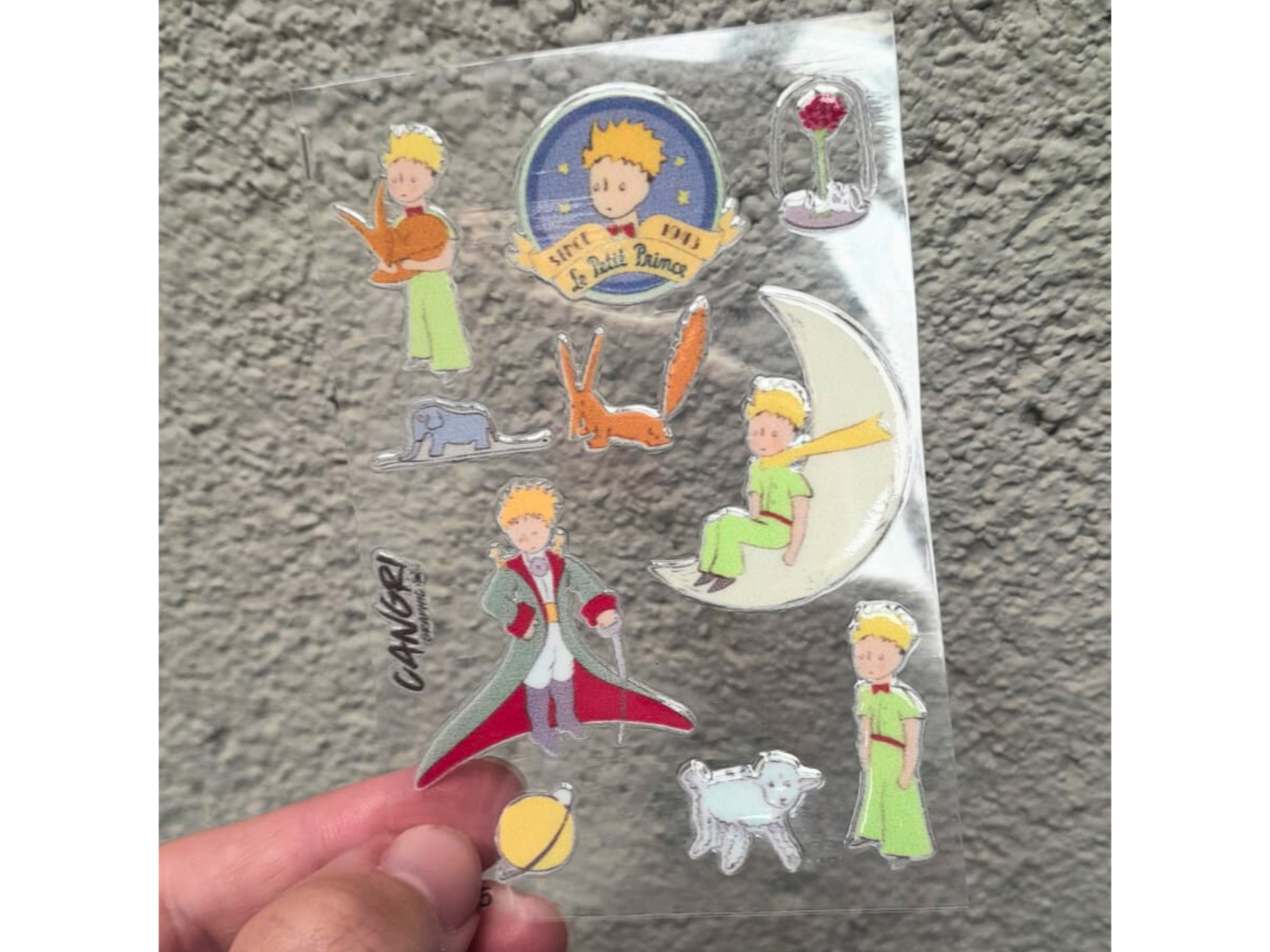 MS_025_EL PRINCIPITO