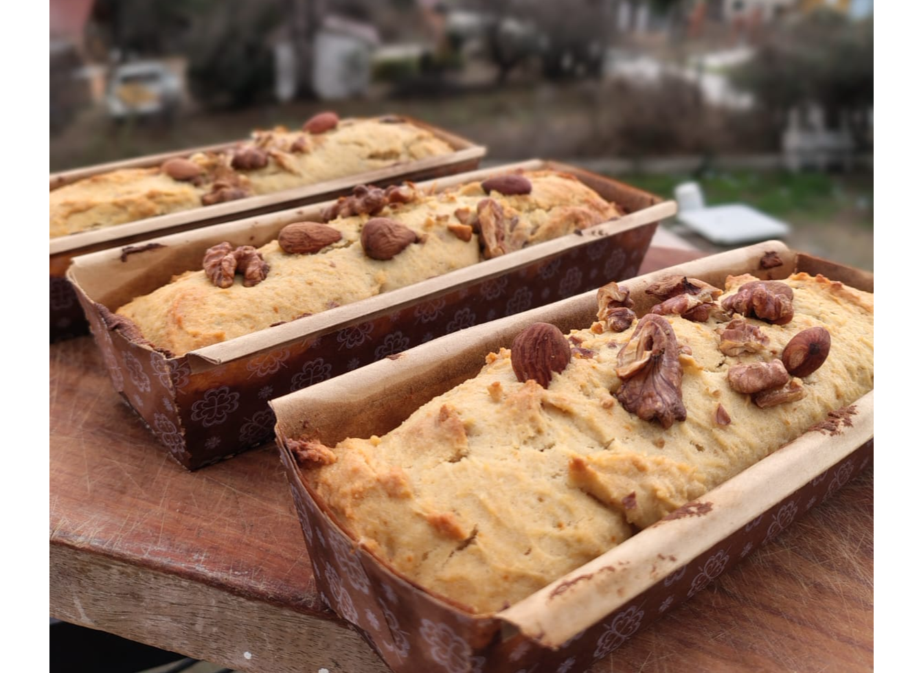 Budin Low Carb x 300 gr