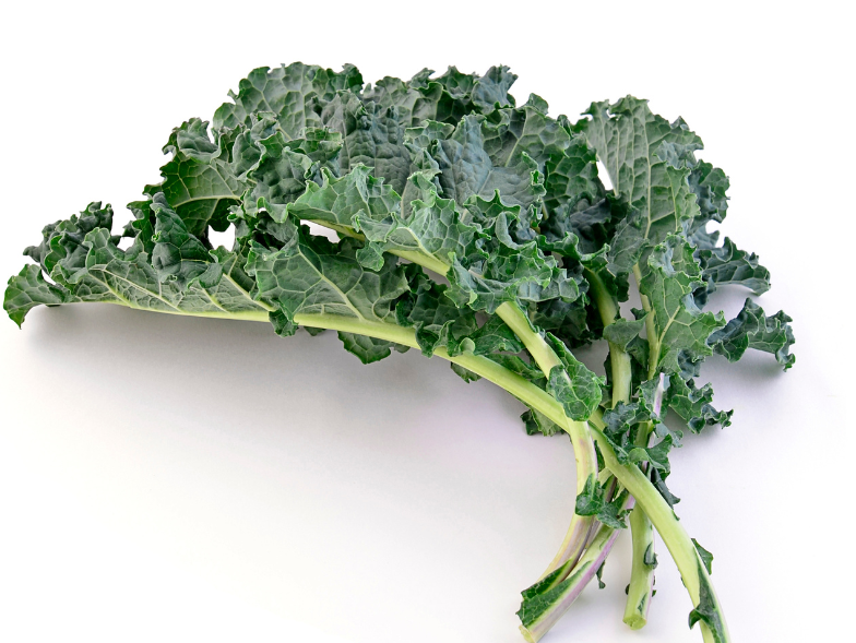 Kale x Atado Agrocologico