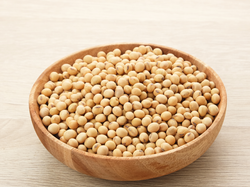 Poroto Soja Biodinamico x 500 gr