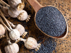 Semilla de Amapola Agroecologica x 100 gr