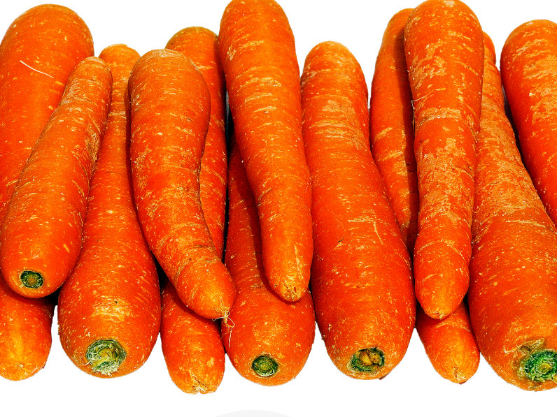 Zanahoria Agroecologica