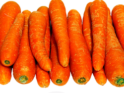 Zanahoria Agroecologica