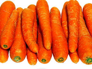 Zanahoria Agroecologica de vive zero