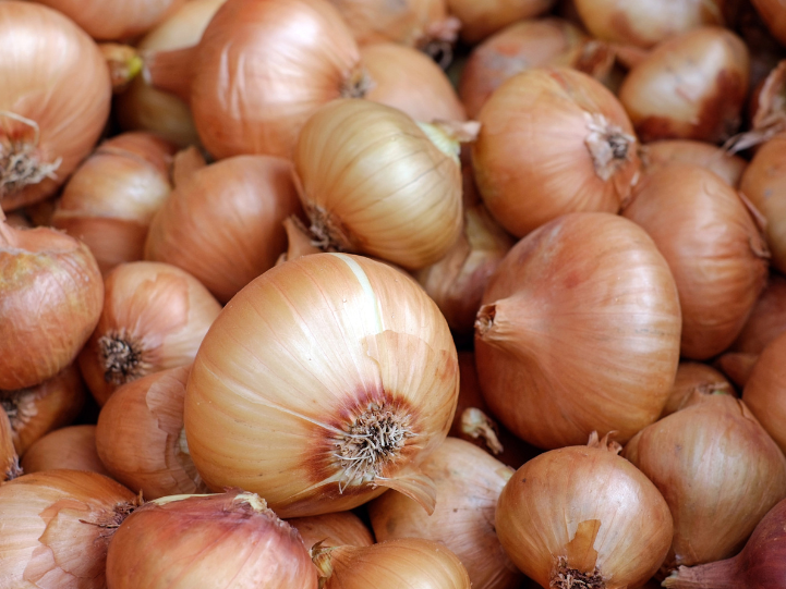 Cebolla Blanca Agroecologica