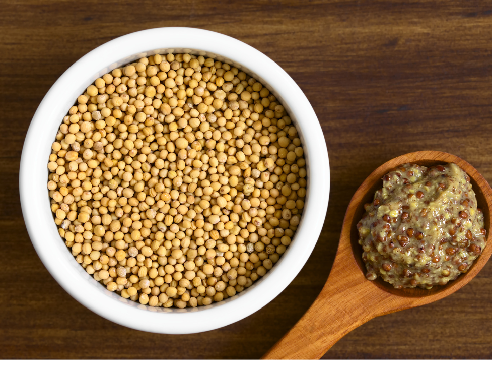 Mostaza en Granos Agroecologica x 50 cc