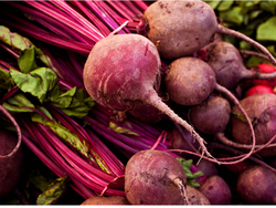 Remolacha x Atado Agroecologica