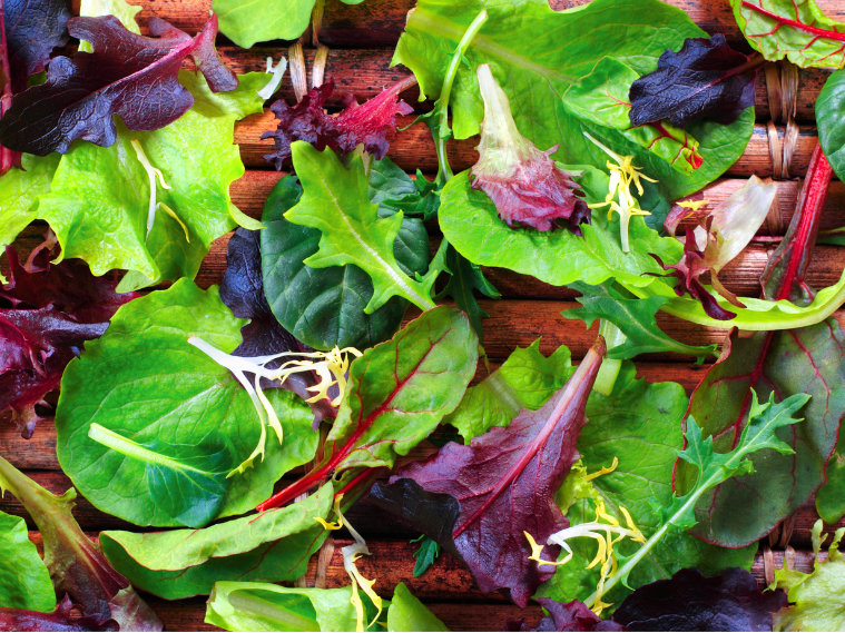 Mix de Lechugas Agroecologicos