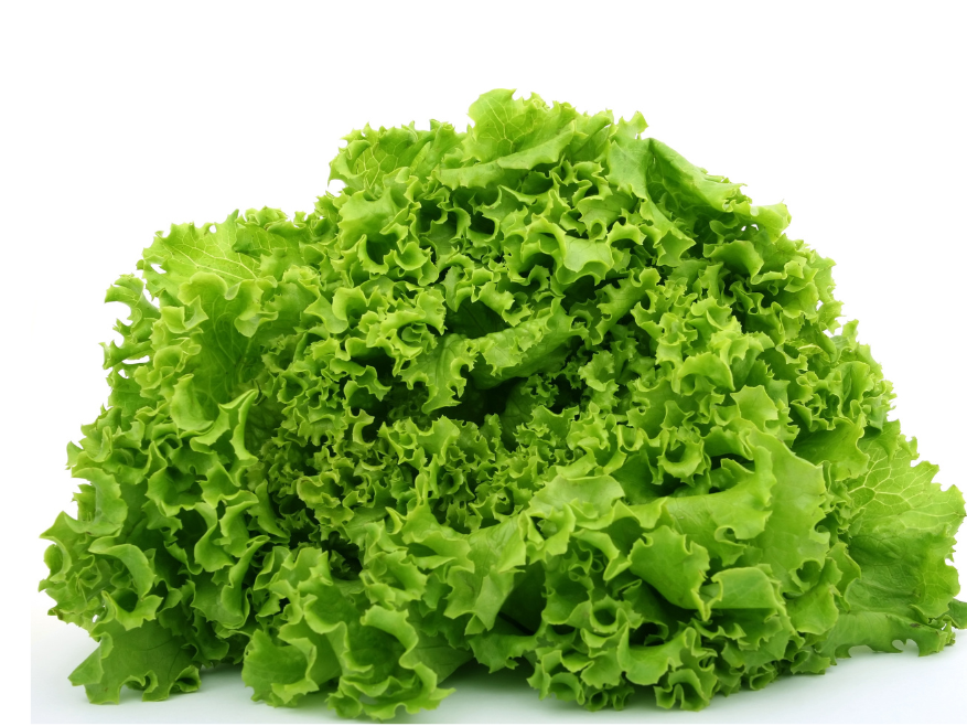 Lechuguin Agroecologico x Atado Grande