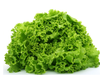 Lechuguin Agroecologico x Atado Grande