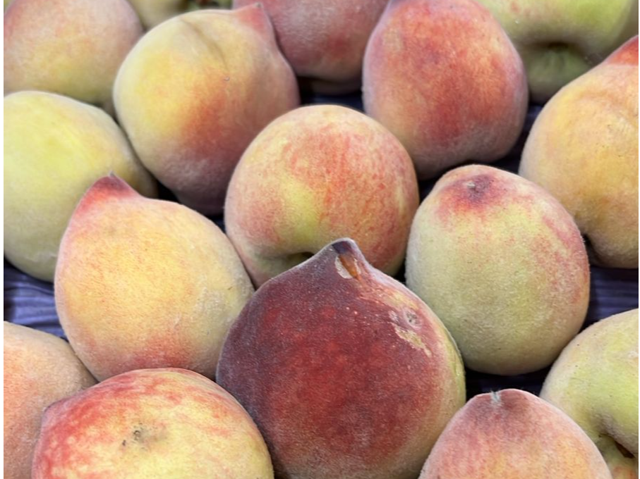 Durazno Agreocologico