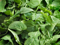 Rucula x Atado Agroecologica