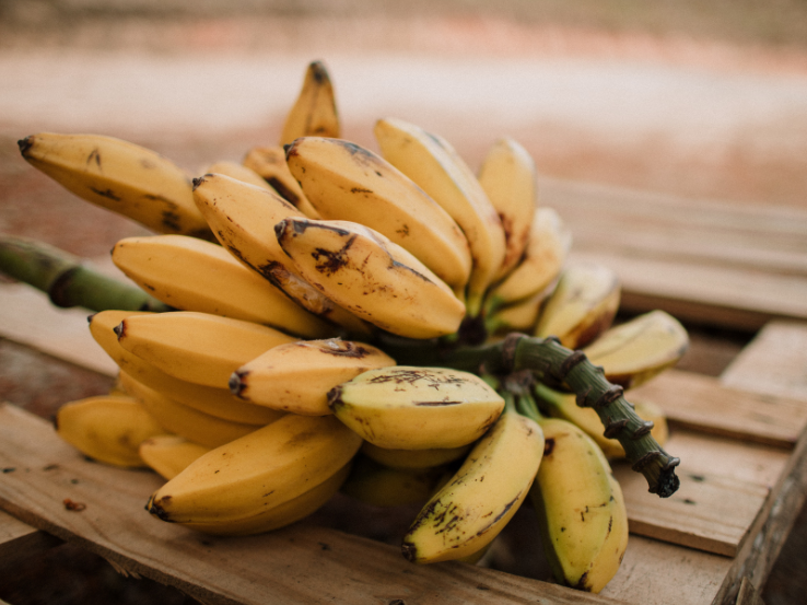 Bananas Agroecologicas