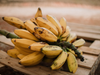 Bananas Agroecologicas