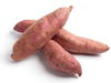 Batata Agroecologica