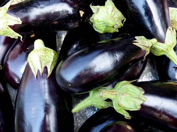 Berenjenas Agroecologicas x Kg