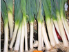 Puerro Agroecologico x unidad