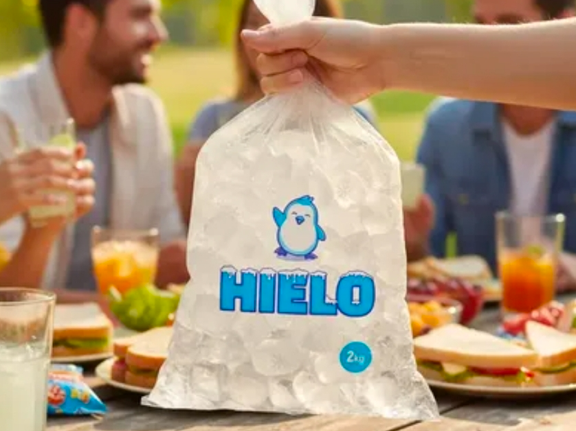 Bolsa Hielo