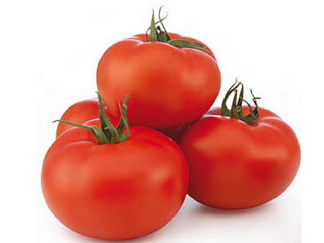 TOMATE REDONDO