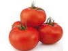 TOMATE REDONDO
