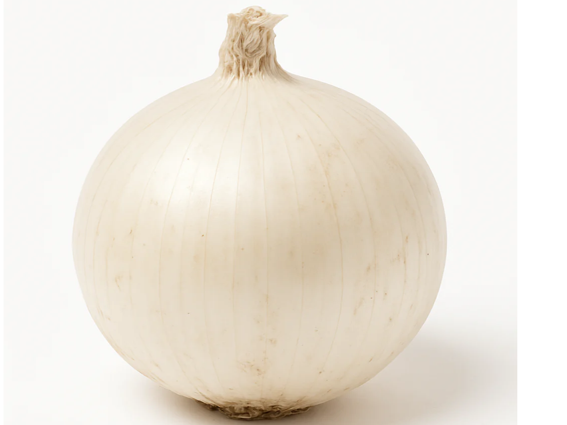 CEBOLLA BLANCA