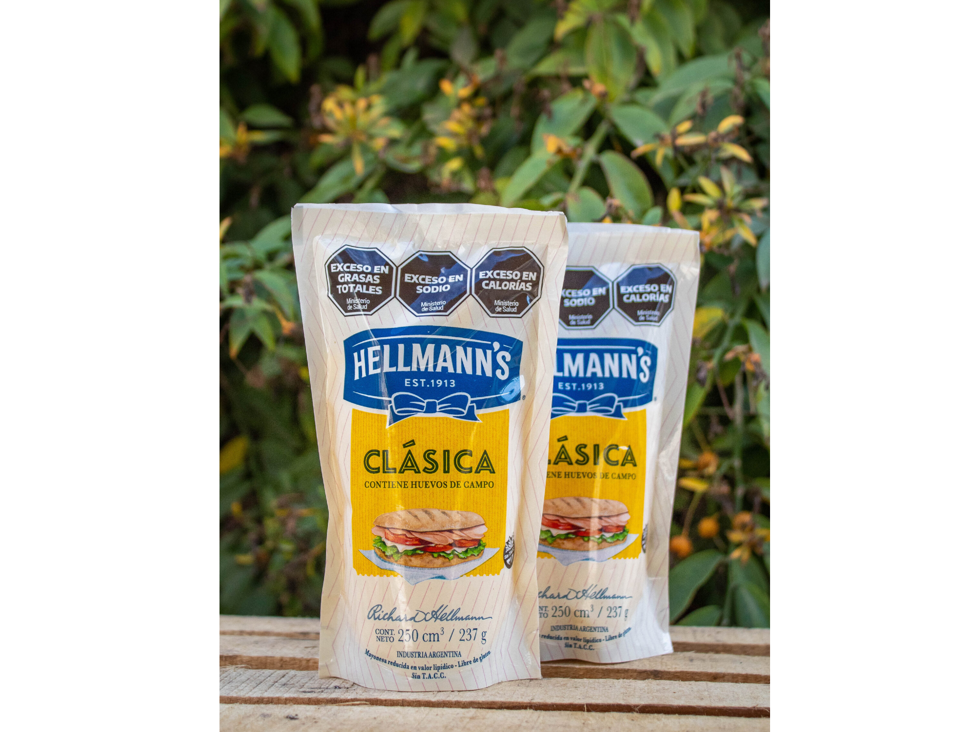 HELLMANN'S MAYONESA 250grs