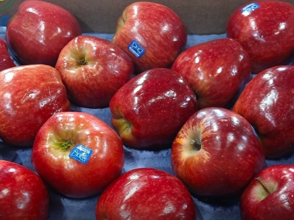 Manzana roja elegida