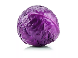 Repollo morado