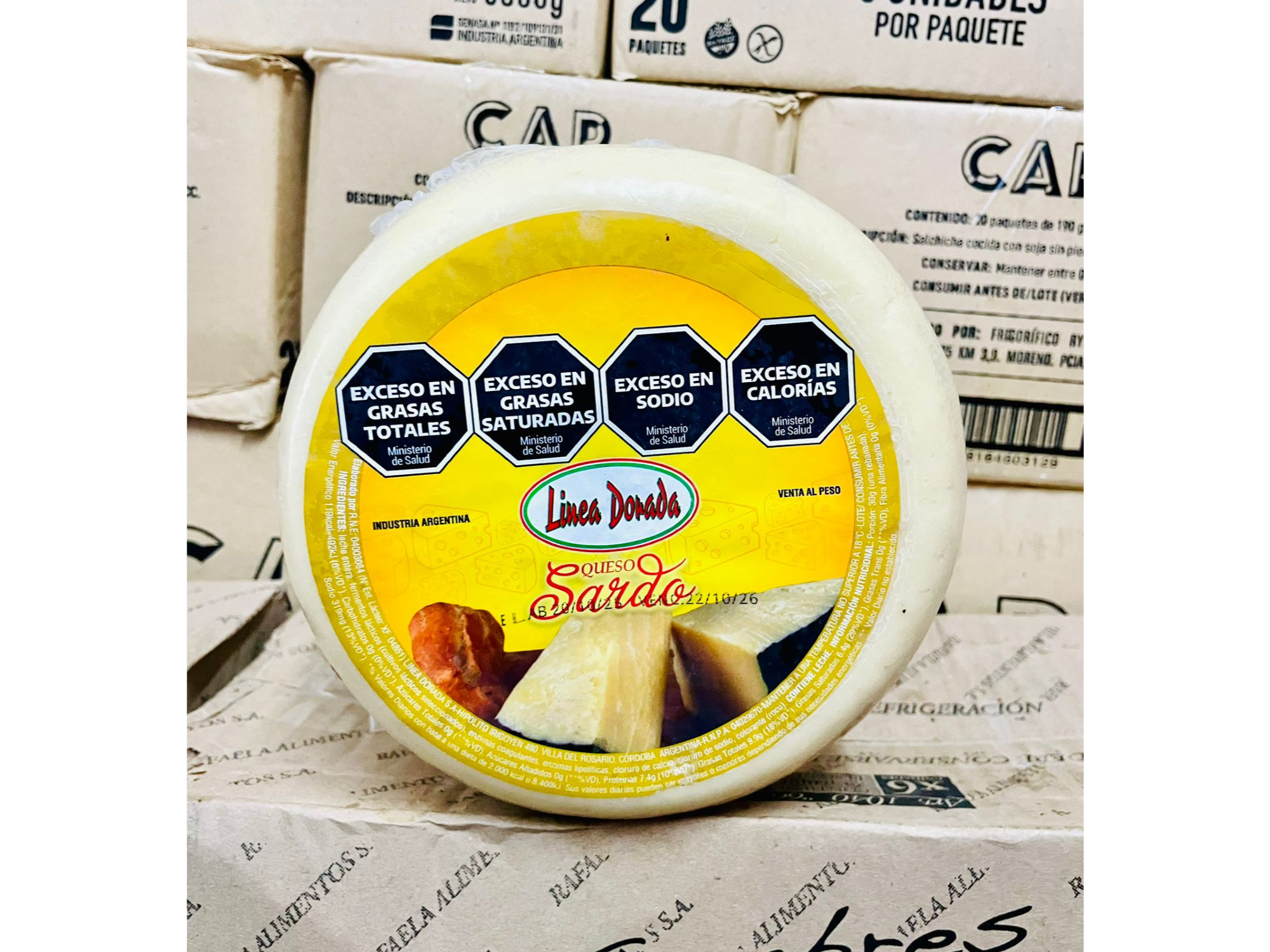 SARDO LINEA DORADA