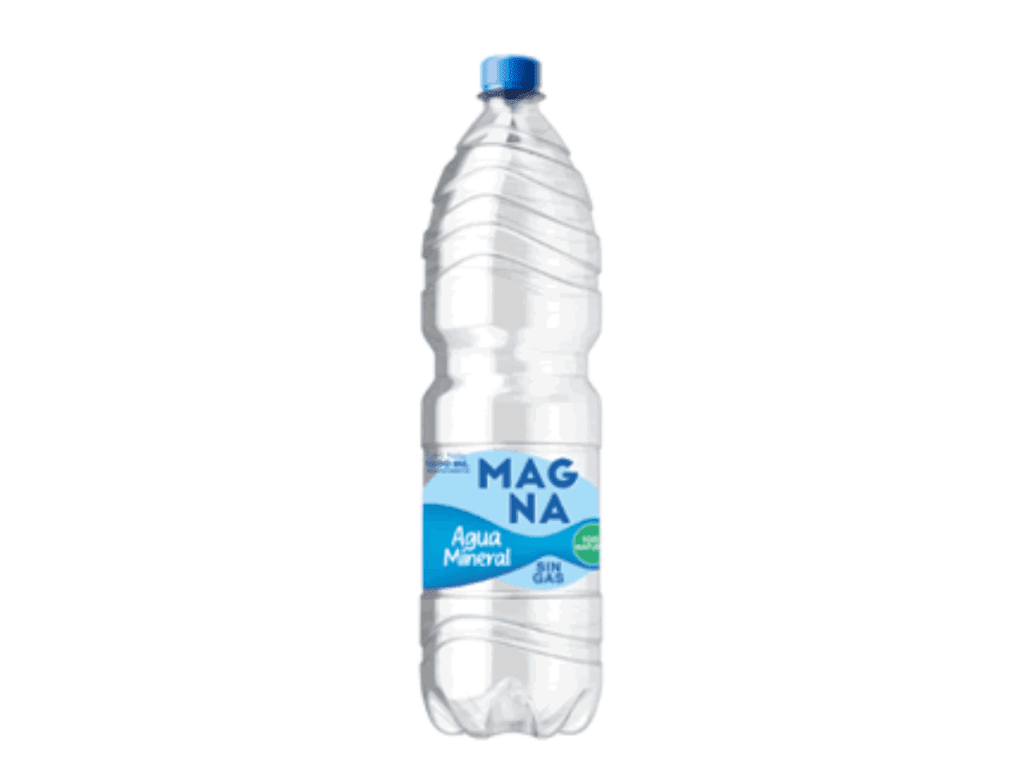 AGUA MINERAL MAGNA 1L