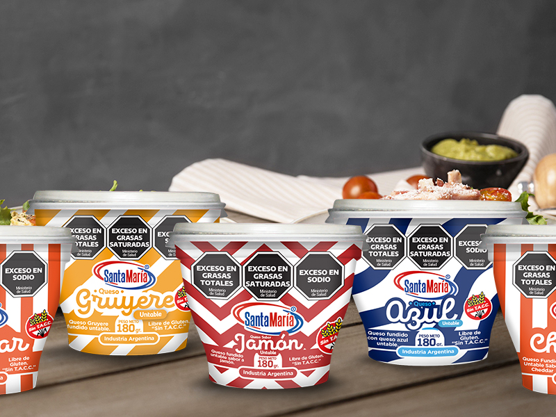 QUESO UNTABLE SANTA MARIA  SABORES VARIOS