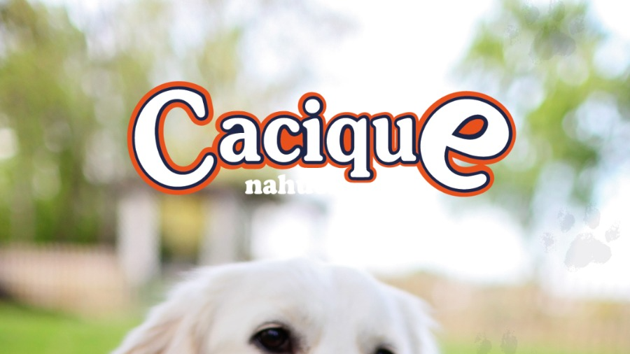 Cacique