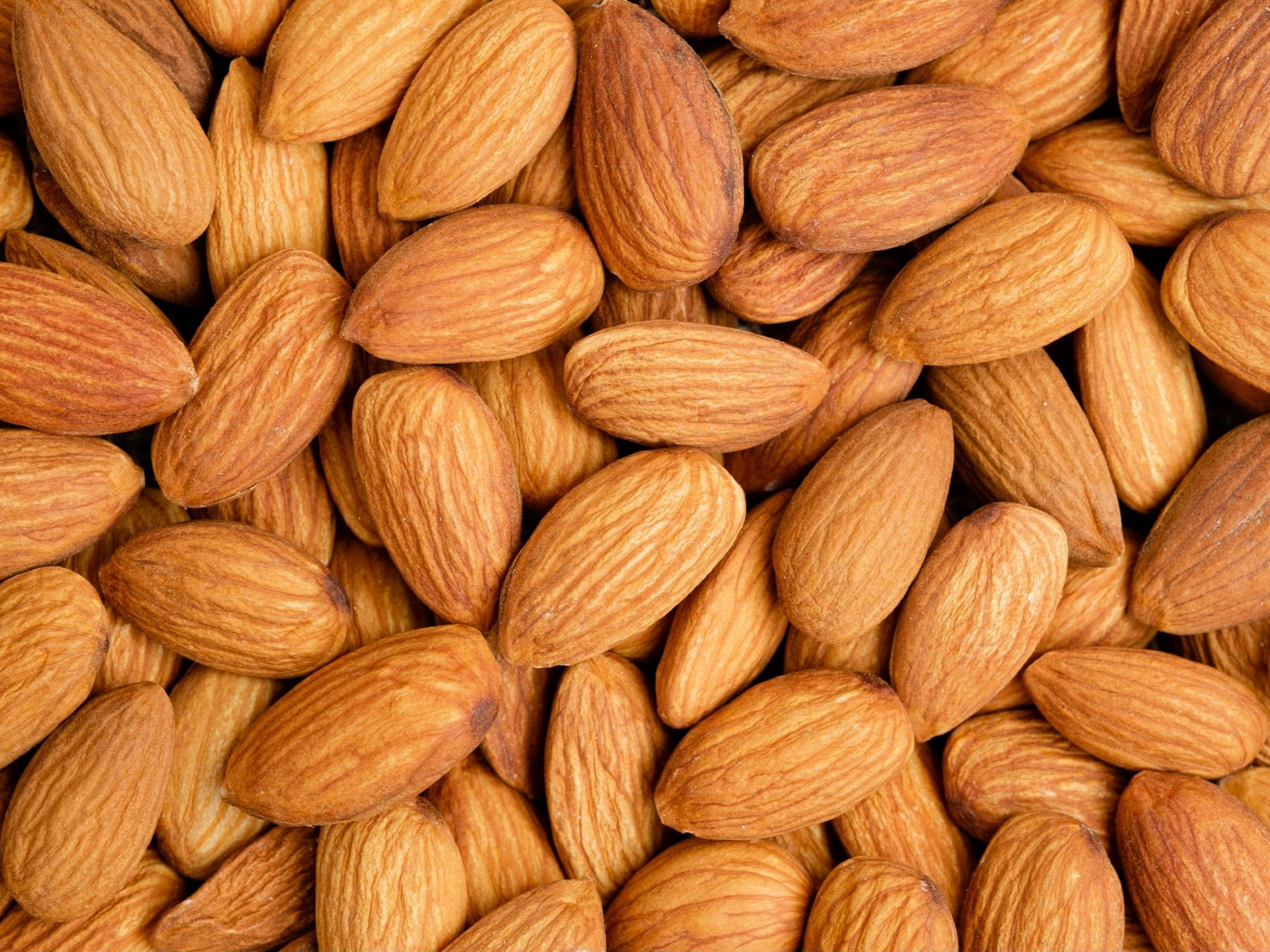 Almendra non pareil