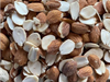Almendra partida