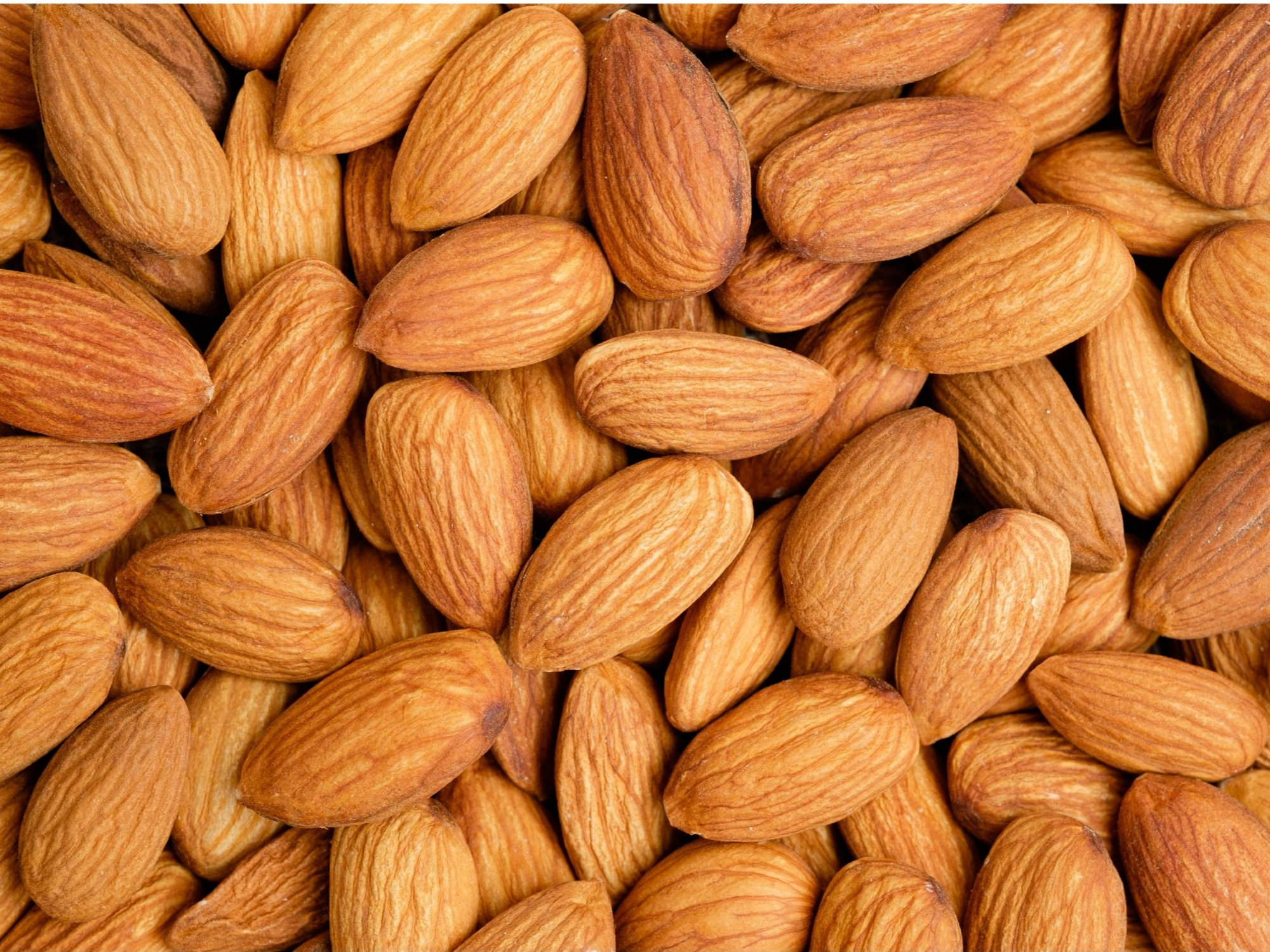 Almendra Felicia