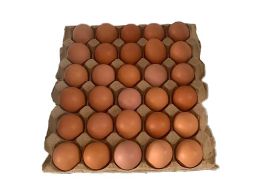 Huevo criollo