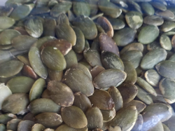Semillas de Zapallo