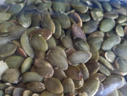 Semillas de Zapallo