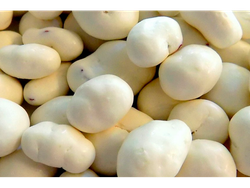 Arándanos Chocolate.