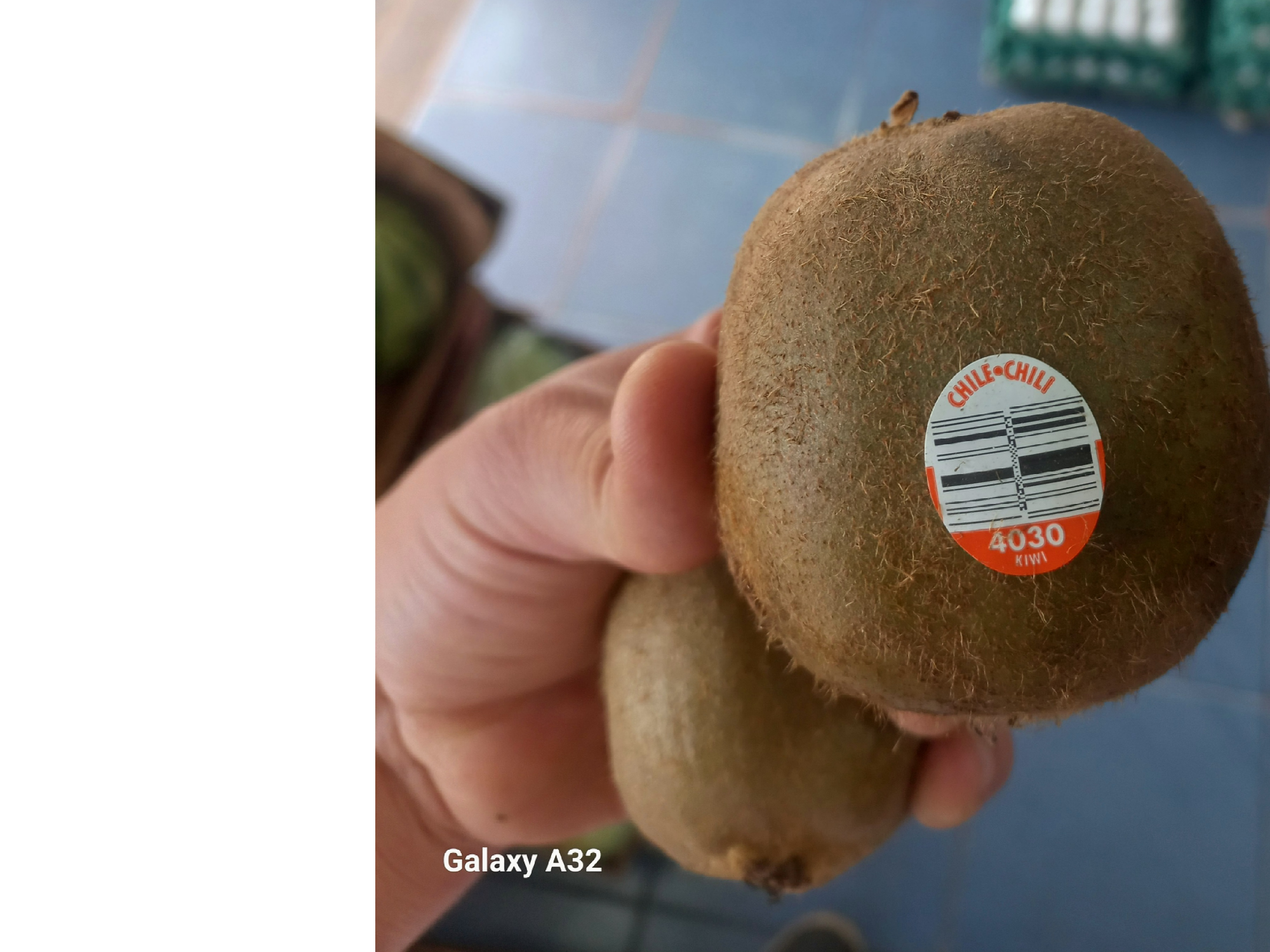 Kiwy Chileno Premiun