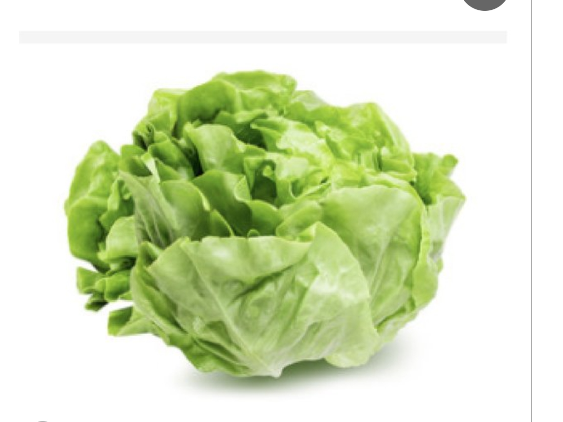 LECHUGA MANTECOSA