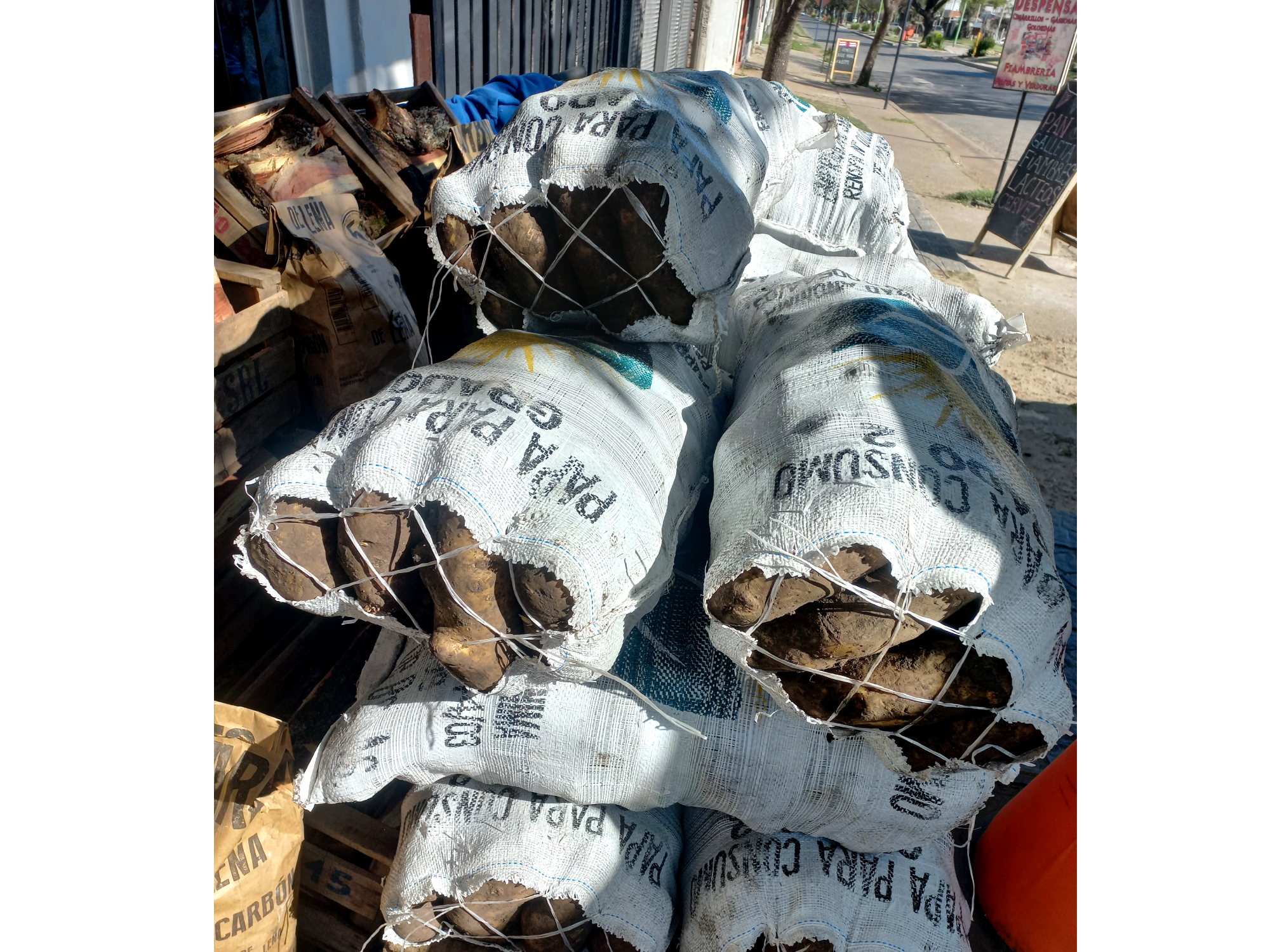 Bolsa de papa blanca 18kg