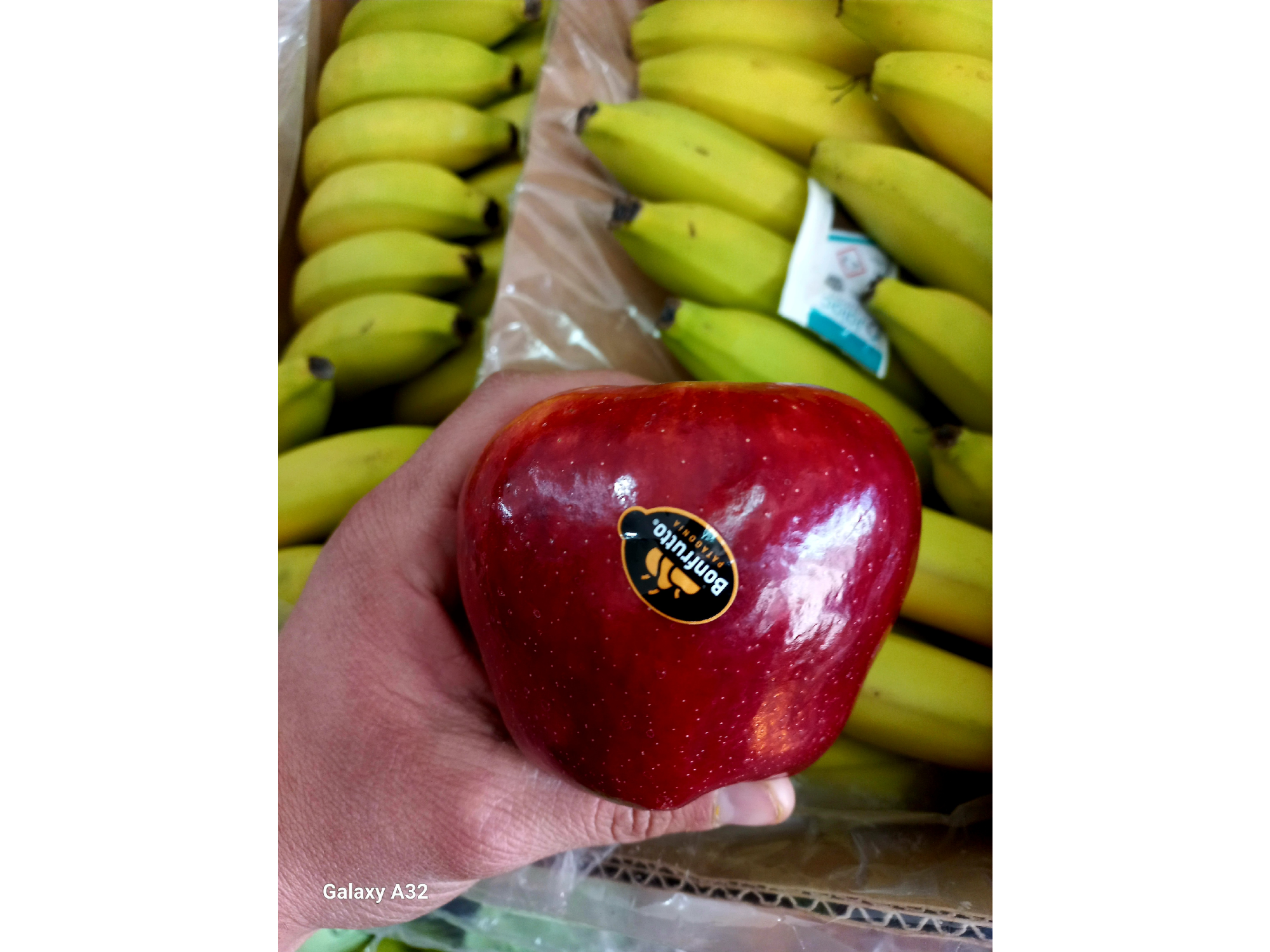 MANZANA PREMIUM