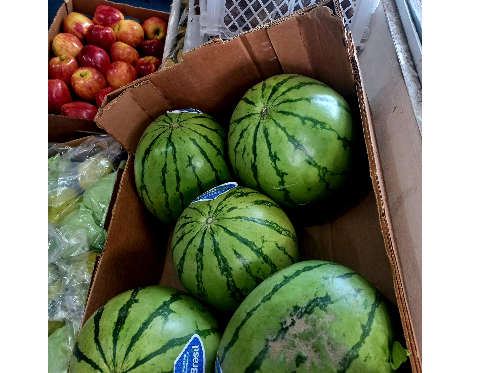 SANDIA BRASIL SUPER DULCES