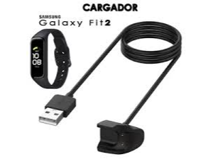 CARGADOR FIT 2
