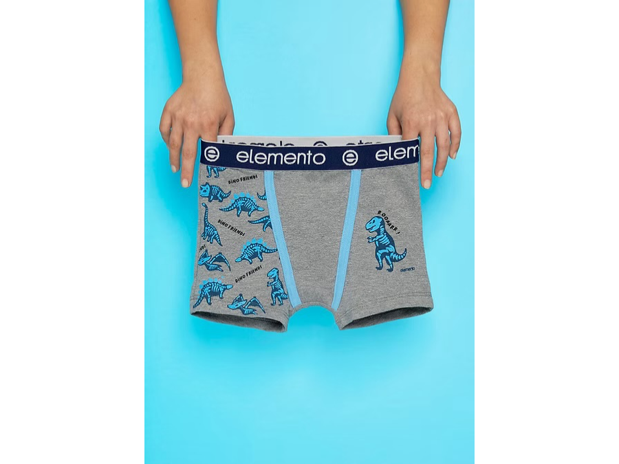 Boxers Elemento - Art. 813