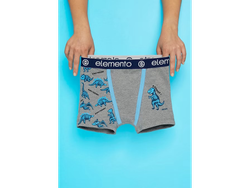 Boxers Elemento - Art. 813